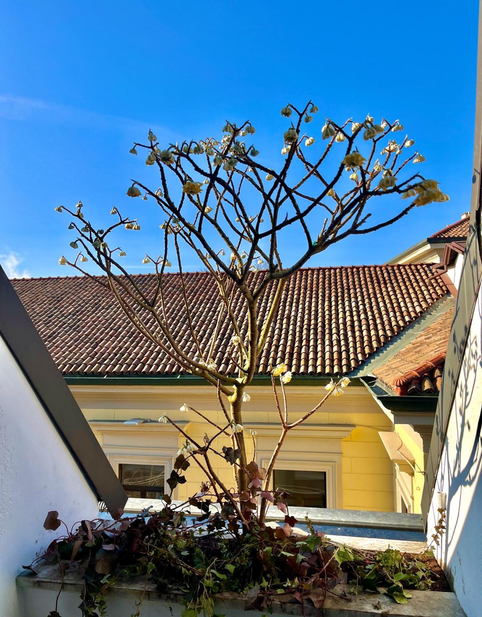 Luxury Loft Apartment Milano Ngoại thất bức ảnh